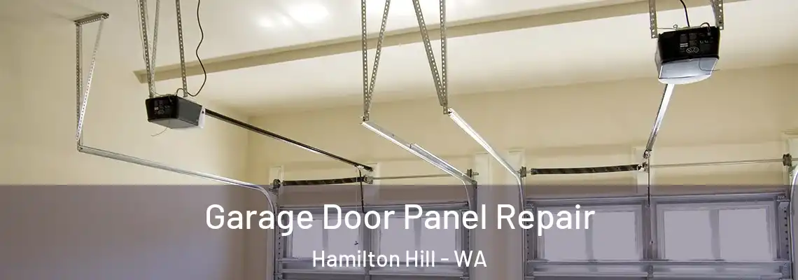 Garage Door Panel Repair Hamilton Hill - WA
