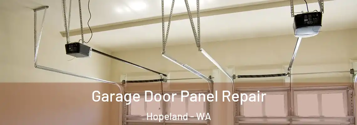 Garage Door Panel Repair Hopeland - WA