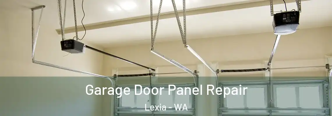 Garage Door Panel Repair Lexia - WA
