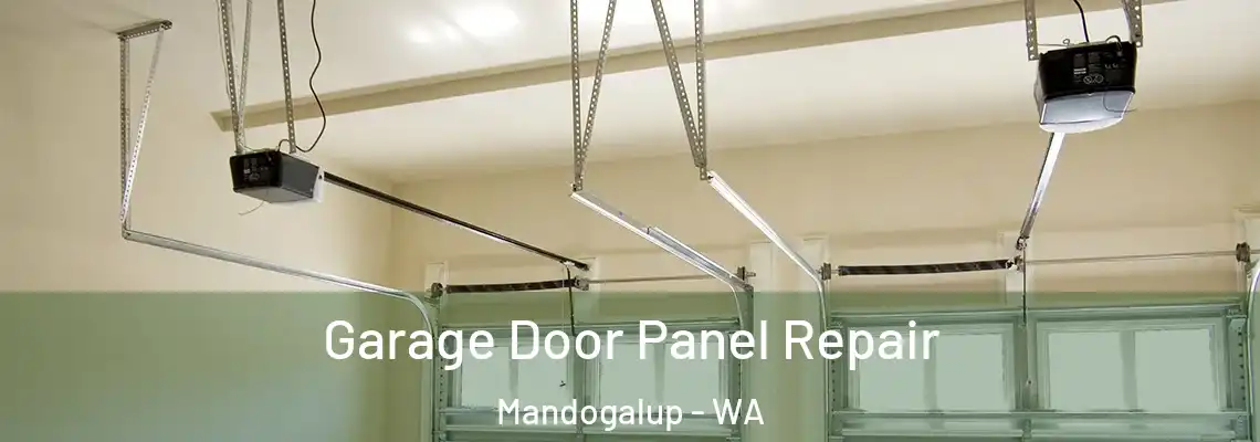 Garage Door Panel Repair Mandogalup - WA