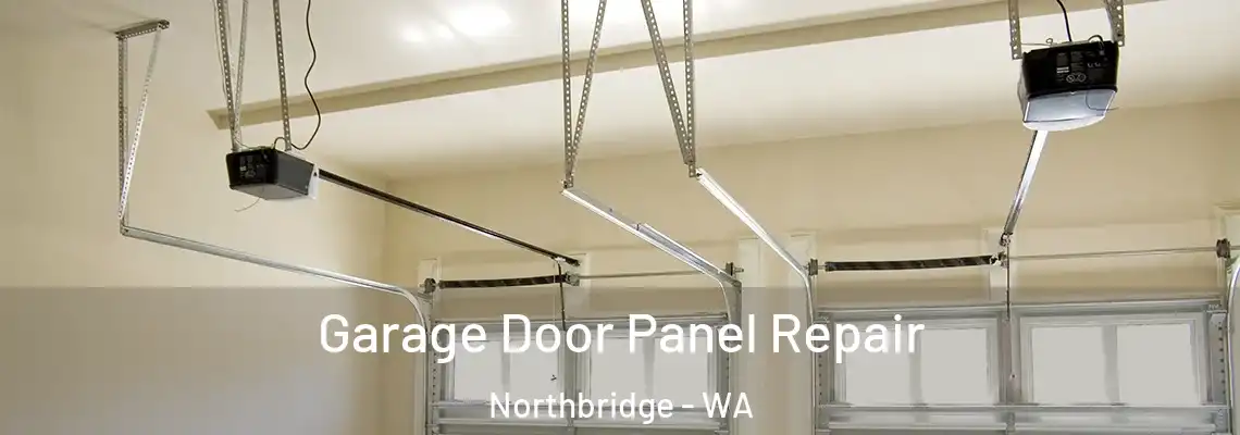 Garage Door Panel Repair Northbridge - WA