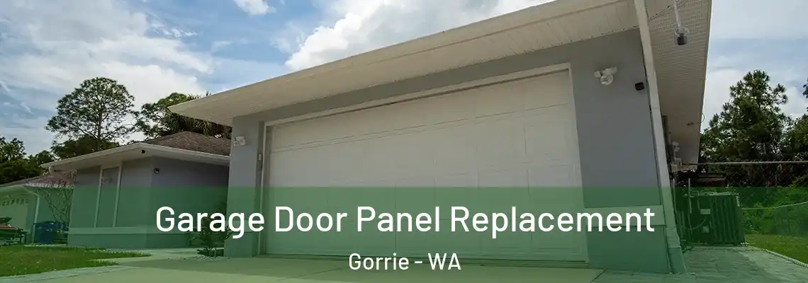 Garage Door Panel Replacement Gorrie - WA