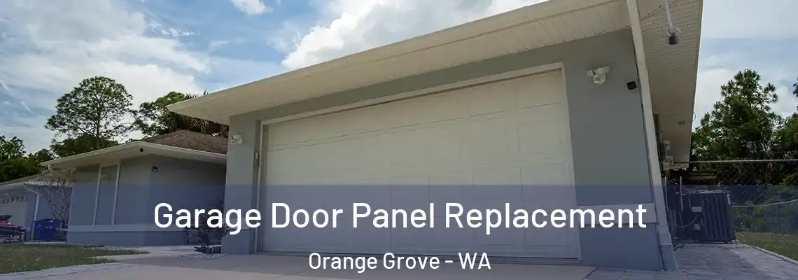 Garage Door Panel Replacement Orange Grove - WA