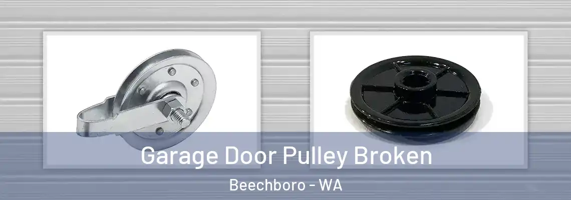 Garage Door Pulley Broken Beechboro - WA