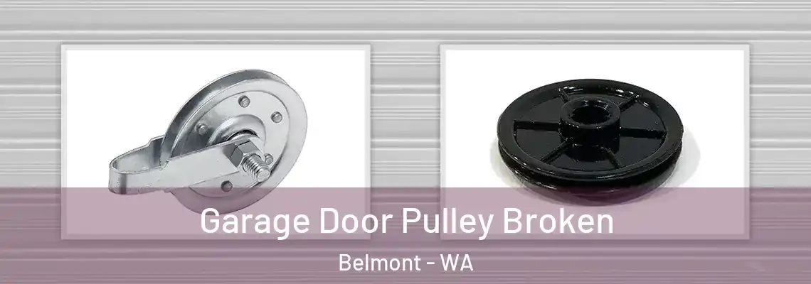  Garage Door Pulley Broken Belmont - WA