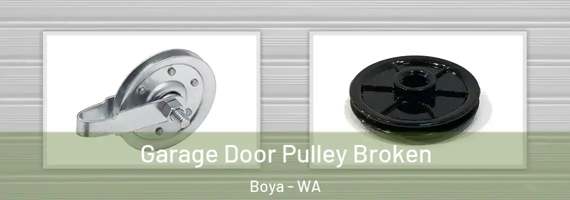 Garage Door Pulley Broken Boya - WA
