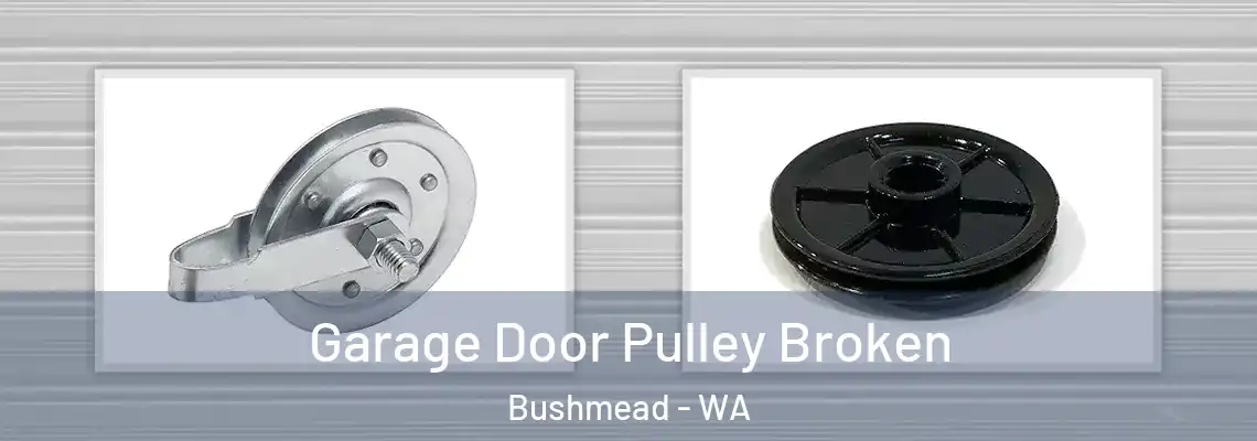 Garage Door Pulley Broken Bushmead - WA