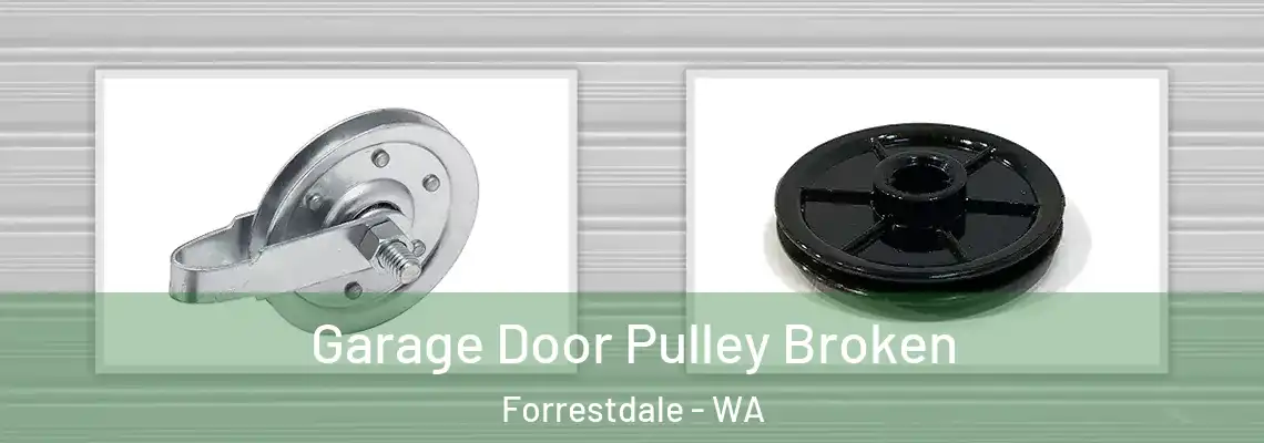 Garage Door Pulley Broken Forrestdale - WA