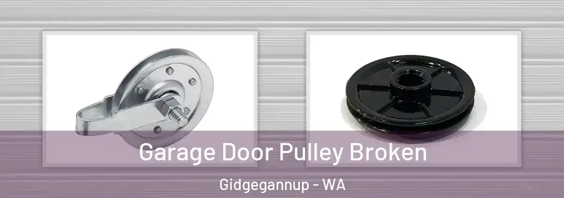 Garage Door Pulley Broken Gidgegannup - WA