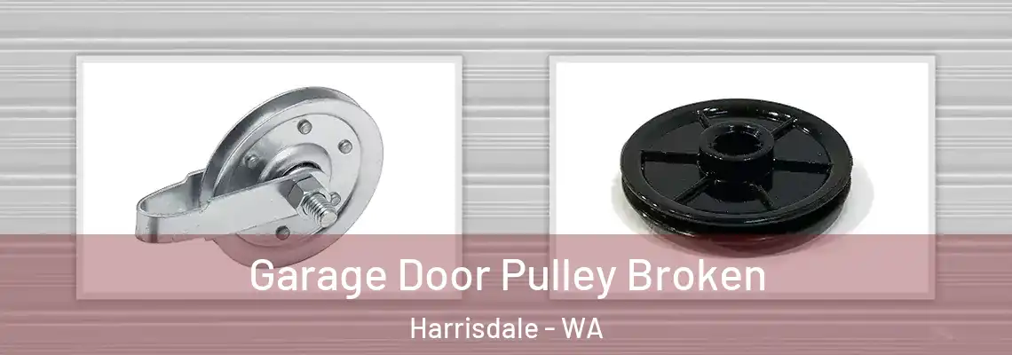 Garage Door Pulley Broken Harrisdale - WA