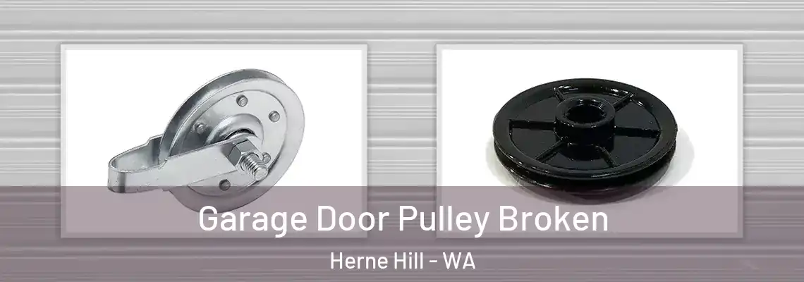 Garage Door Pulley Broken Herne Hill - WA