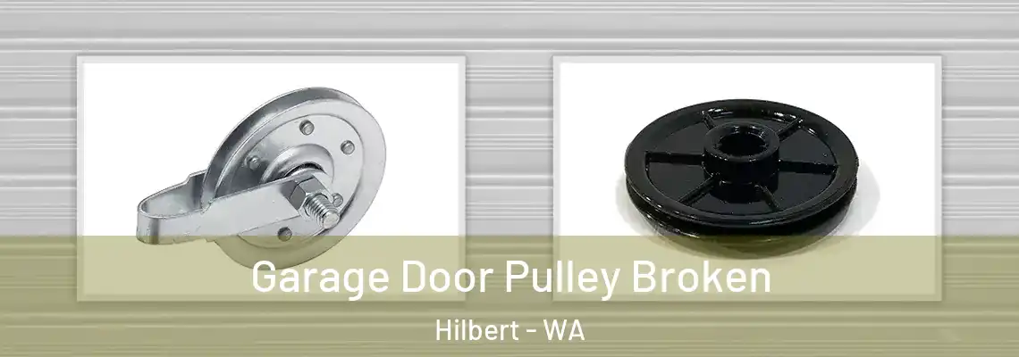 Garage Door Pulley Broken Hilbert - WA
