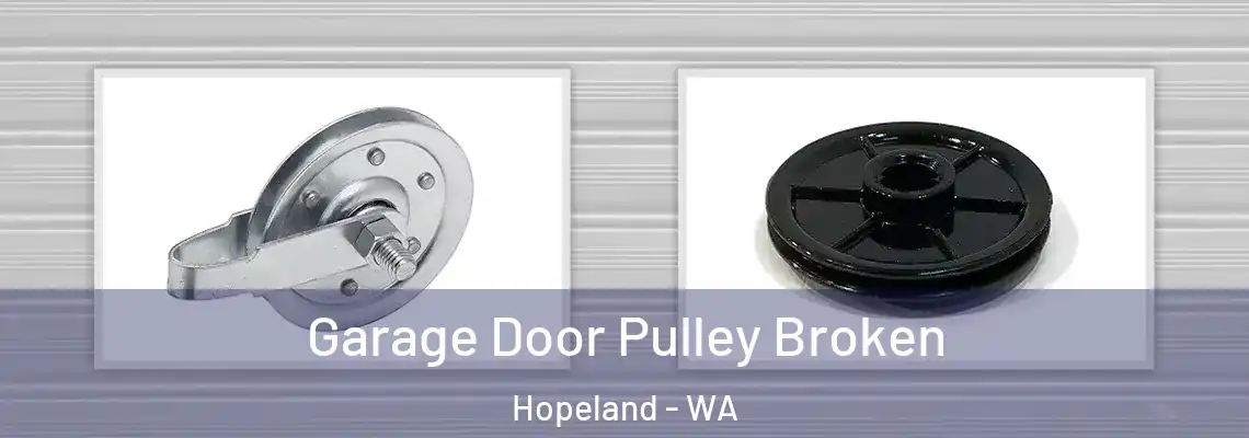 Garage Door Pulley Broken Hopeland - WA