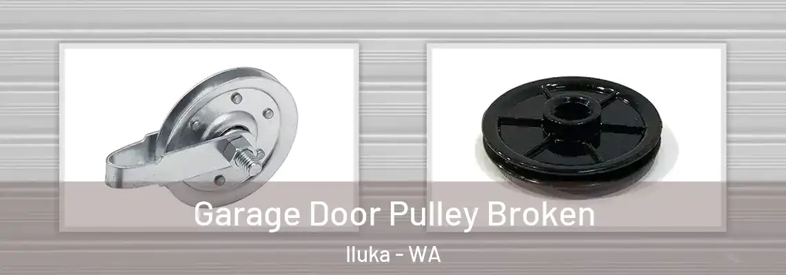  Garage Door Pulley Broken Iluka - WA