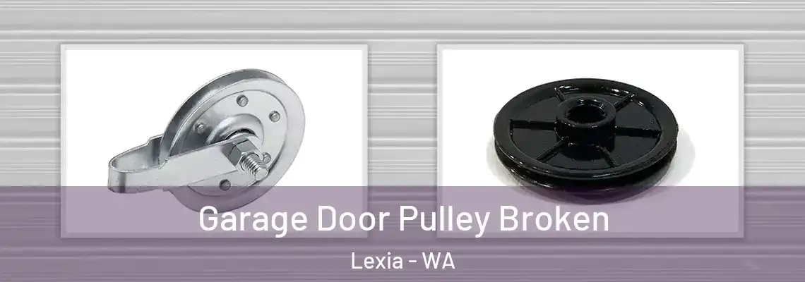 Garage Door Pulley Broken Lexia - WA