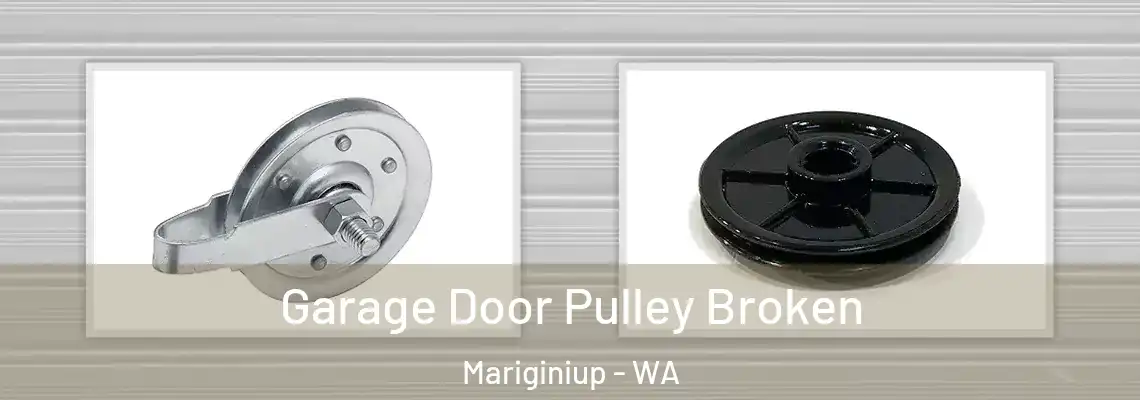 Garage Door Pulley Broken Mariginiup - WA