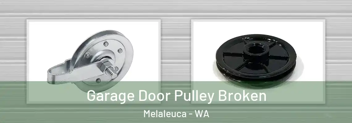 Garage Door Pulley Broken Melaleuca - WA