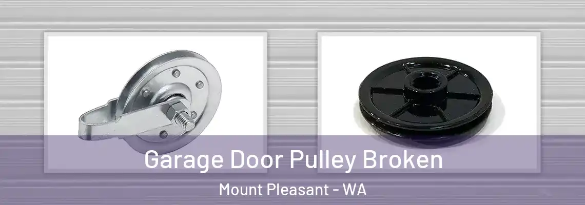 Garage Door Pulley Broken Mount Pleasant - WA