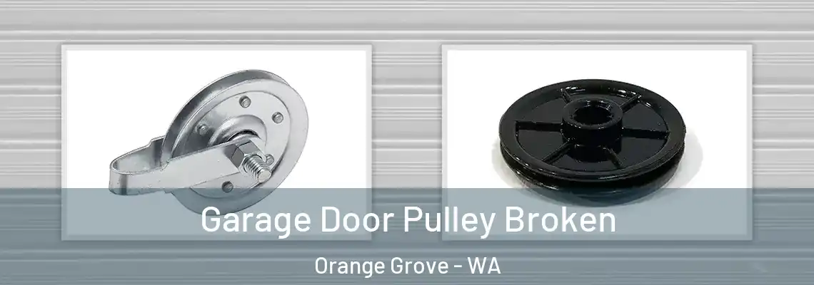 Garage Door Pulley Broken Orange Grove - WA