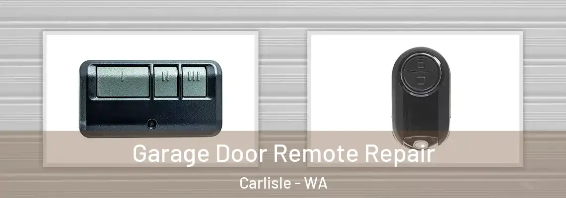Garage Door Remote Repair Carlisle - WA