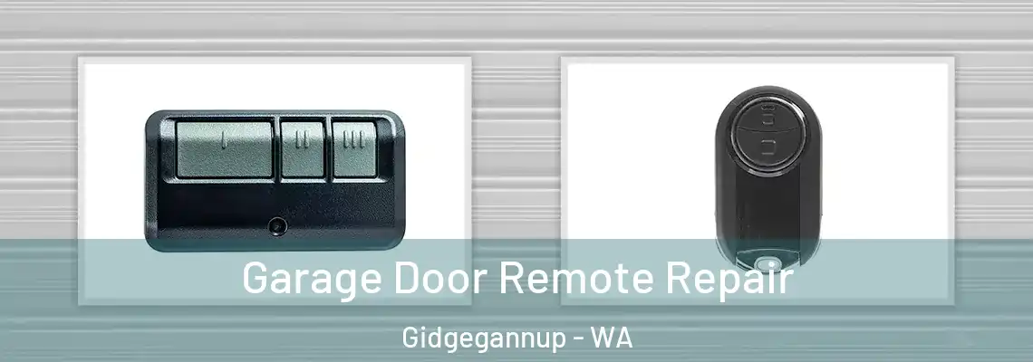 Garage Door Remote Repair Gidgegannup - WA