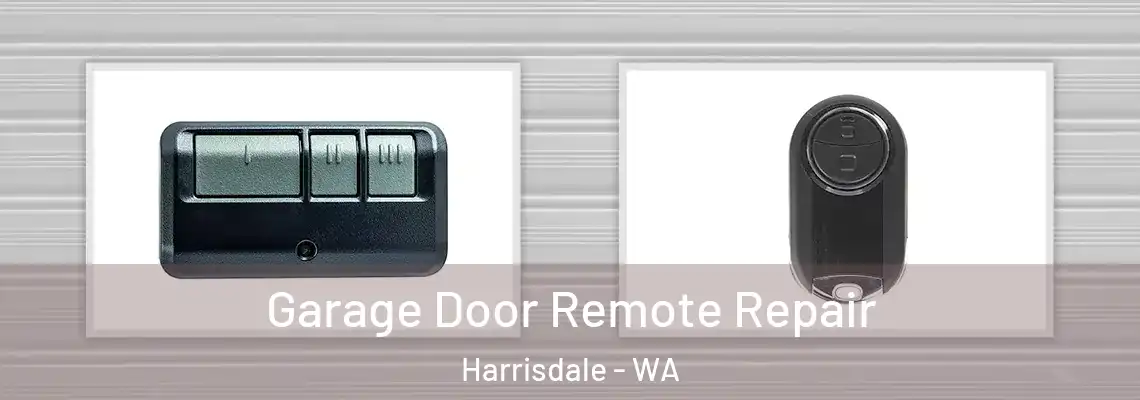 Garage Door Remote Repair Harrisdale - WA