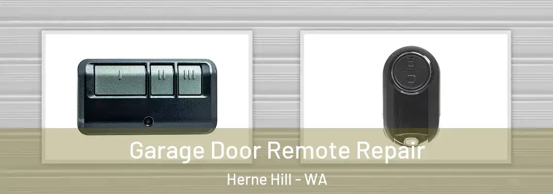 Garage Door Remote Repair Herne Hill - WA