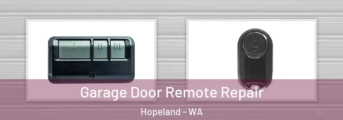 Garage Door Remote Repair Hopeland - WA