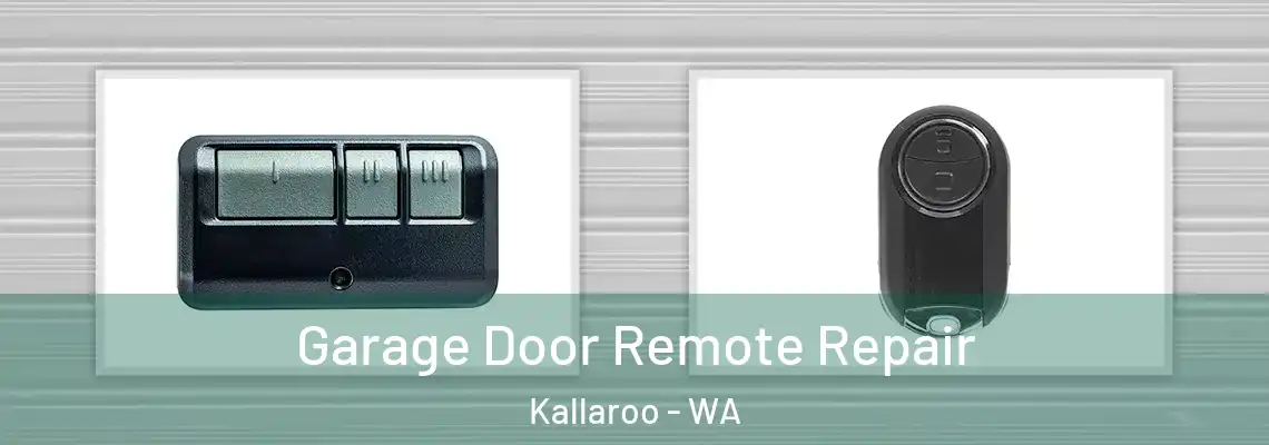 Garage Door Remote Repair Kallaroo - WA