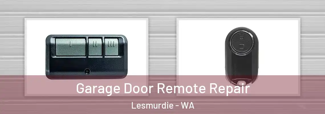 Garage Door Remote Repair Lesmurdie - WA