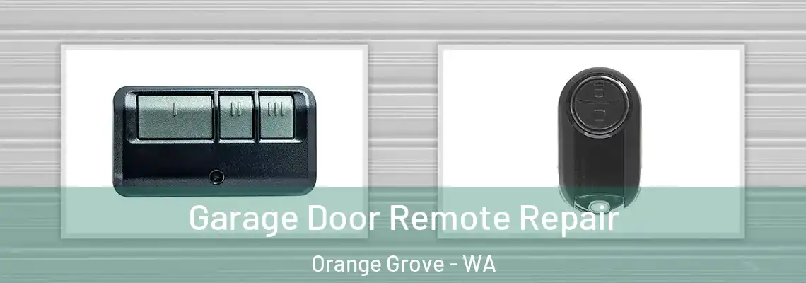 Garage Door Remote Repair Orange Grove - WA