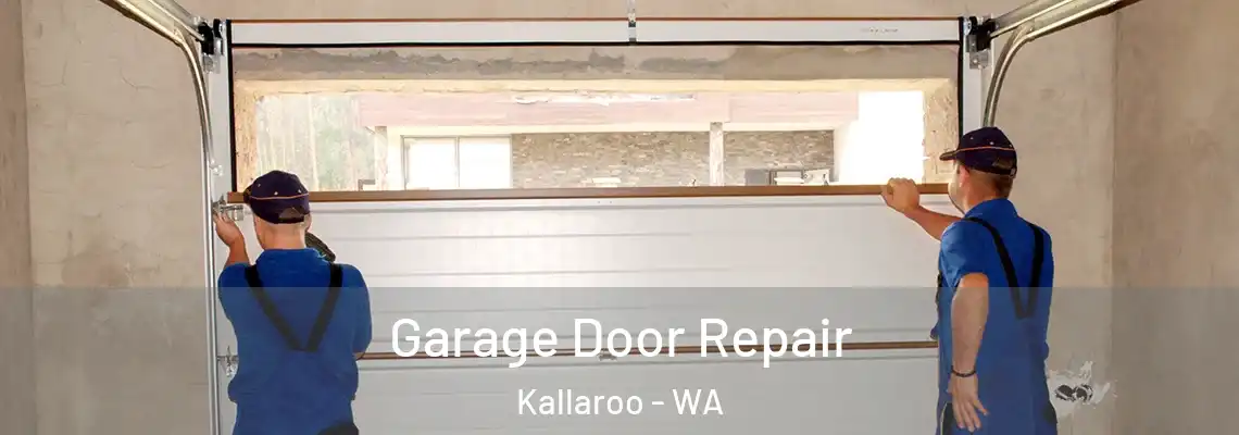 Garage Door Repair Kallaroo - WA