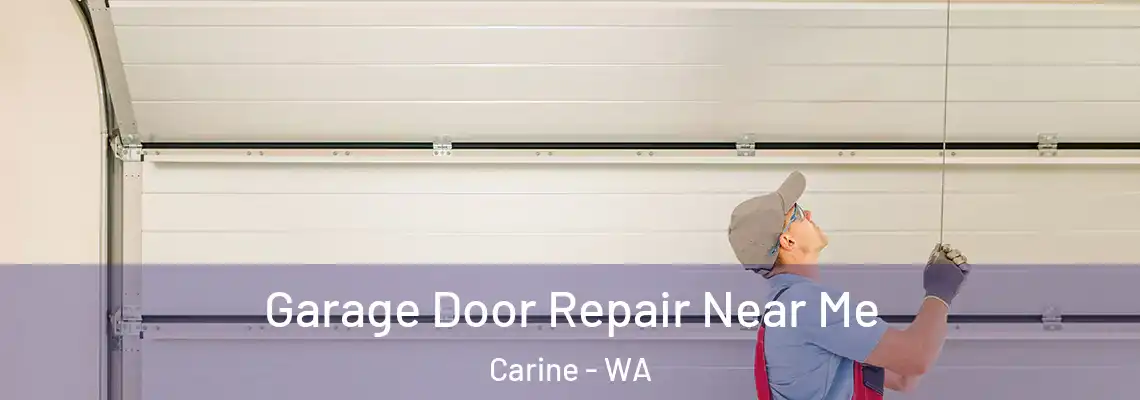  Garage Door Repair Near Me Carine - WA