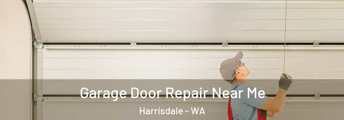 Garage Door Repair Near Me Harrisdale - WA