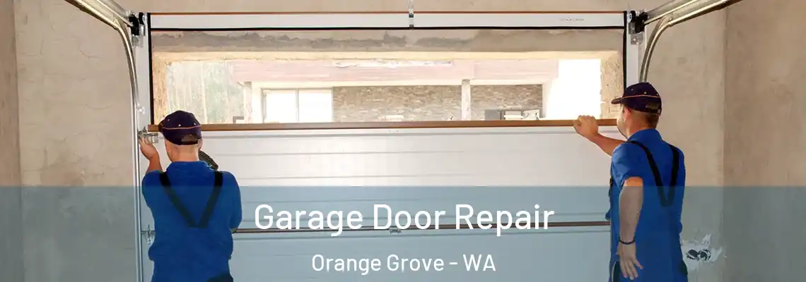 Garage Door Repair Orange Grove - WA