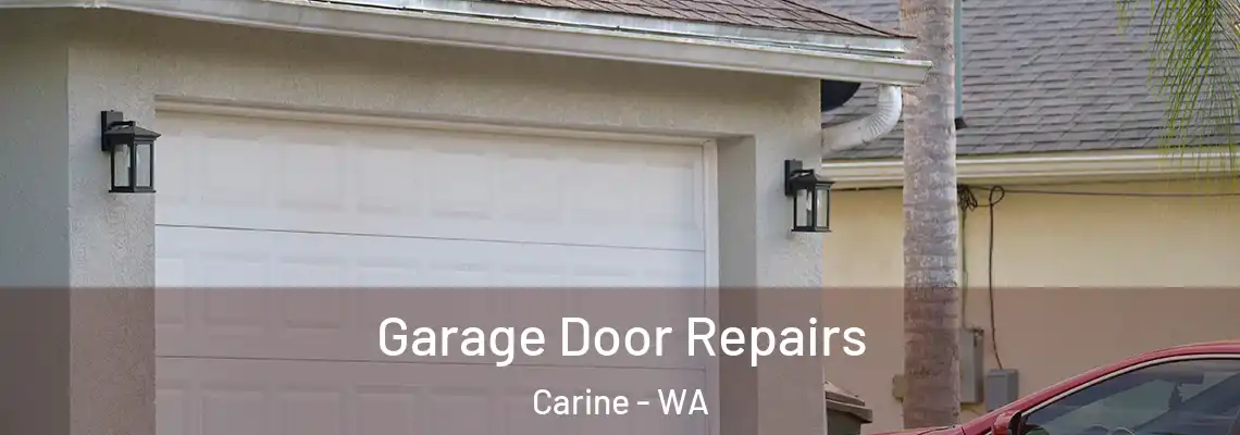 Garage Door Repairs Carine - WA