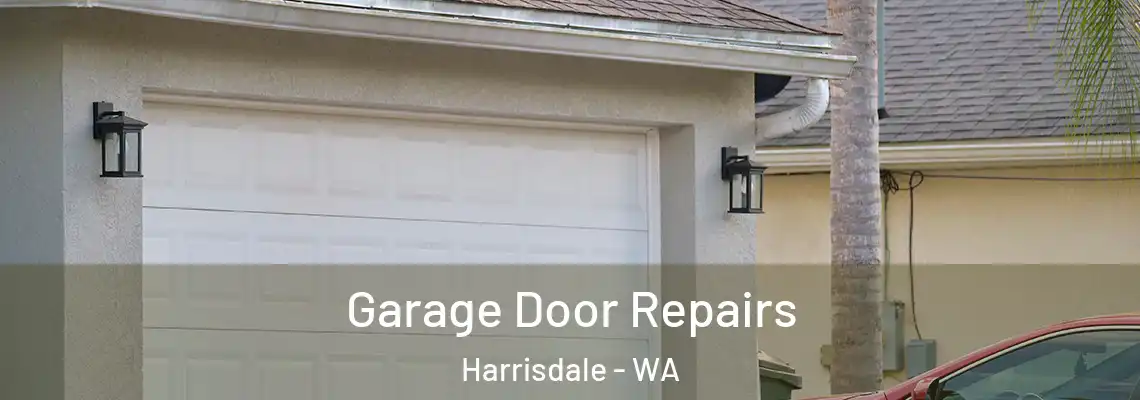 Garage Door Repairs Harrisdale - WA