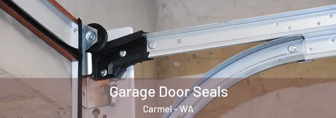 Garage Door Seals Carmel - WA