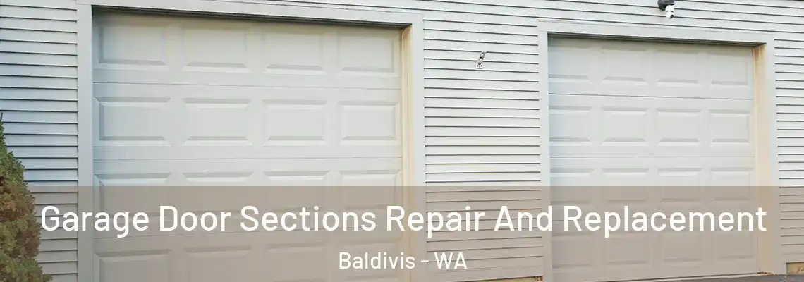 Garage Door Sections Repair And Replacement Baldivis - WA