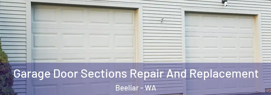 Garage Door Sections Repair And Replacement Beeliar - WA
