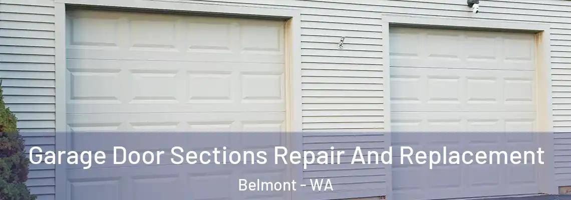 Garage Door Sections Repair And Replacement Belmont - WA