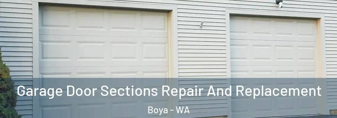 Garage Door Sections Repair And Replacement Boya - WA