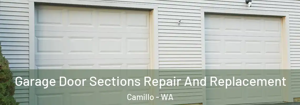 Garage Door Sections Repair And Replacement Camillo - WA