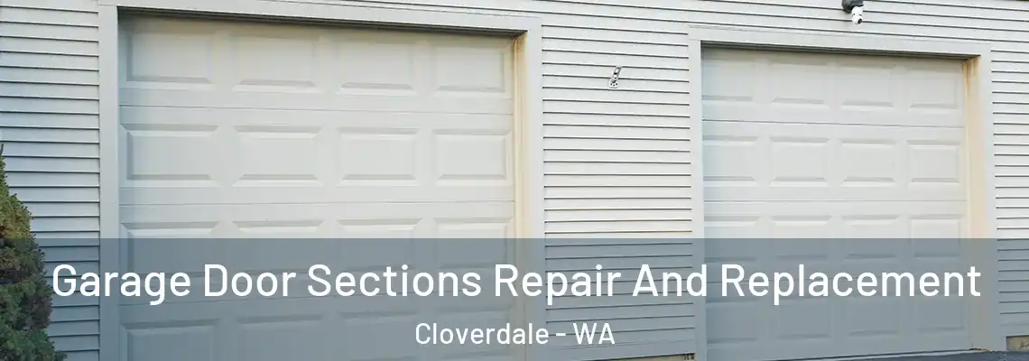 Garage Door Sections Repair And Replacement Cloverdale - WA