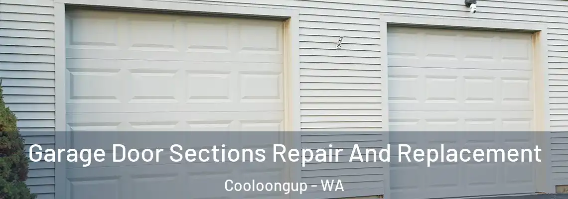 Garage Door Sections Repair And Replacement Cooloongup - WA