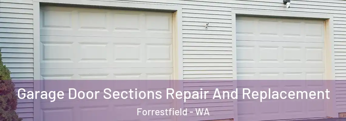 Garage Door Sections Repair And Replacement Forrestfield - WA