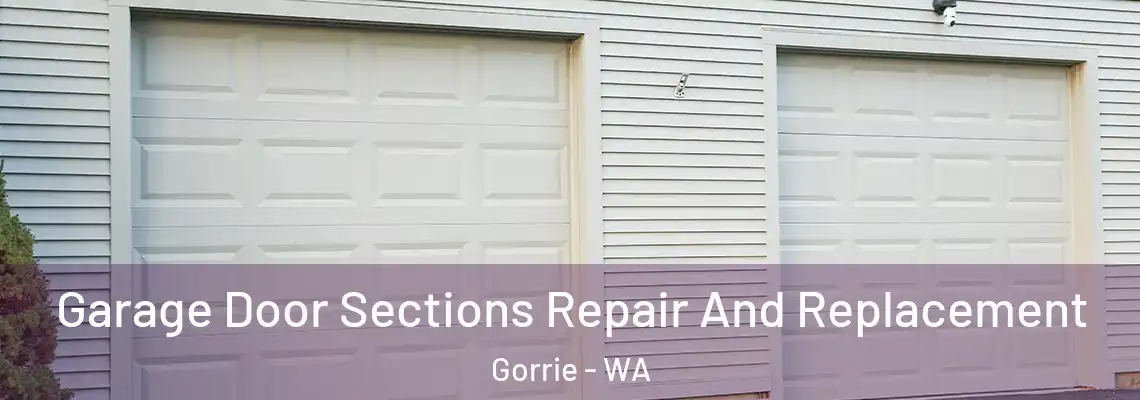 Garage Door Sections Repair And Replacement Gorrie - WA