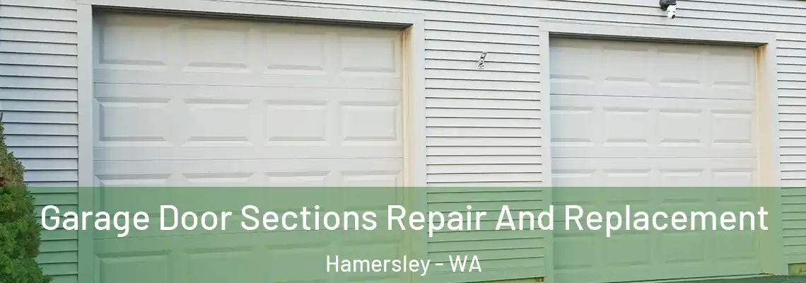 Garage Door Sections Repair And Replacement Hamersley - WA