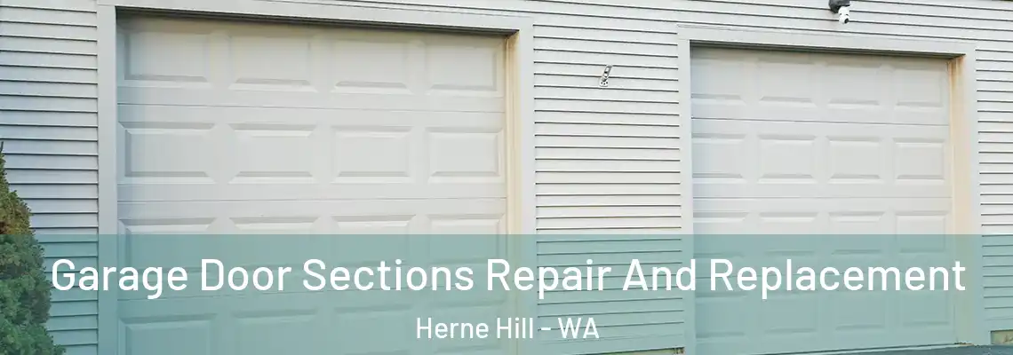 Garage Door Sections Repair And Replacement Herne Hill - WA