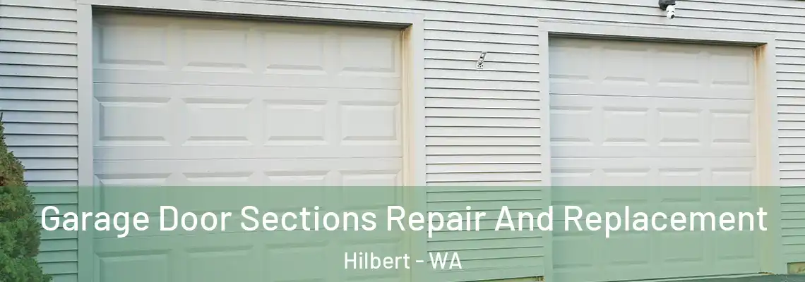 Garage Door Sections Repair And Replacement Hilbert - WA
